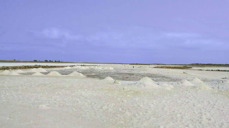 Saline - Maio