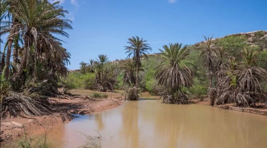 Zones humides / Oasis - Boavista