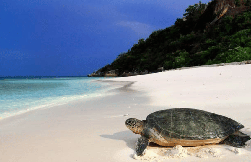 Plage Santana