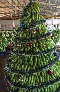 Arbre de Noël au Cap-Vert